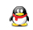 QQ: 641289349